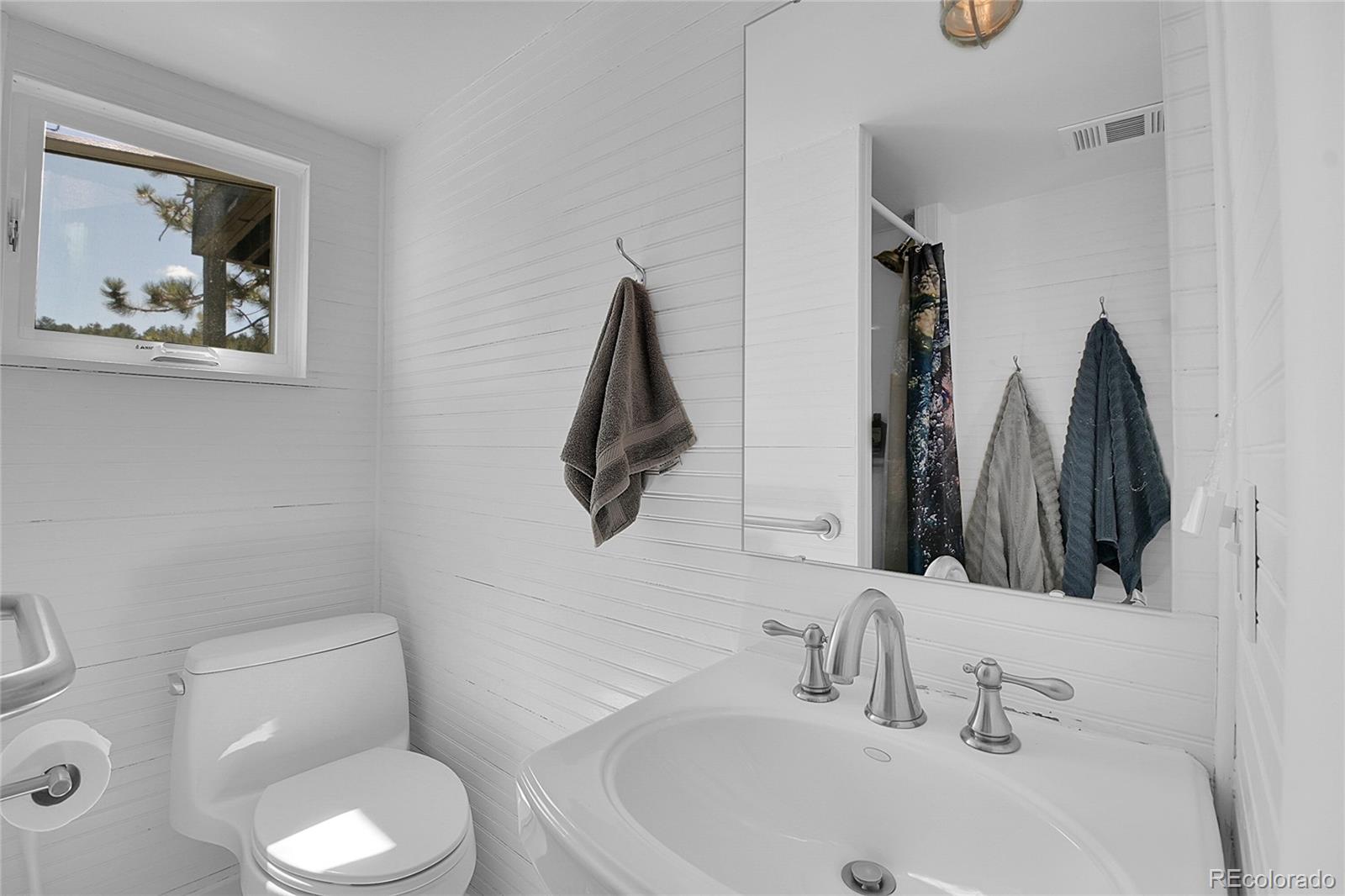 MLS Image #27 for 29858  gigi drive,evergreen, Colorado