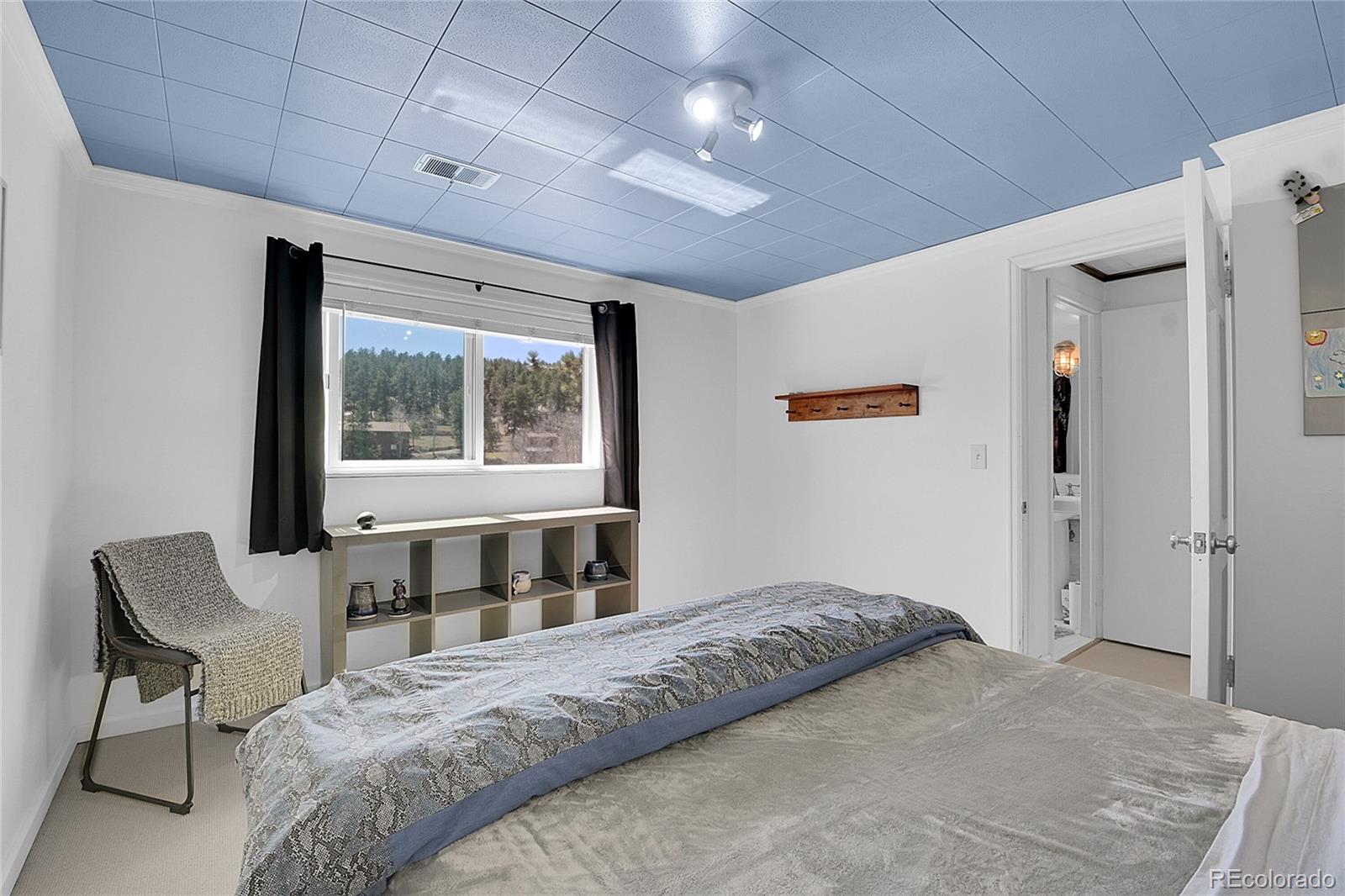 MLS Image #29 for 29858  gigi drive,evergreen, Colorado