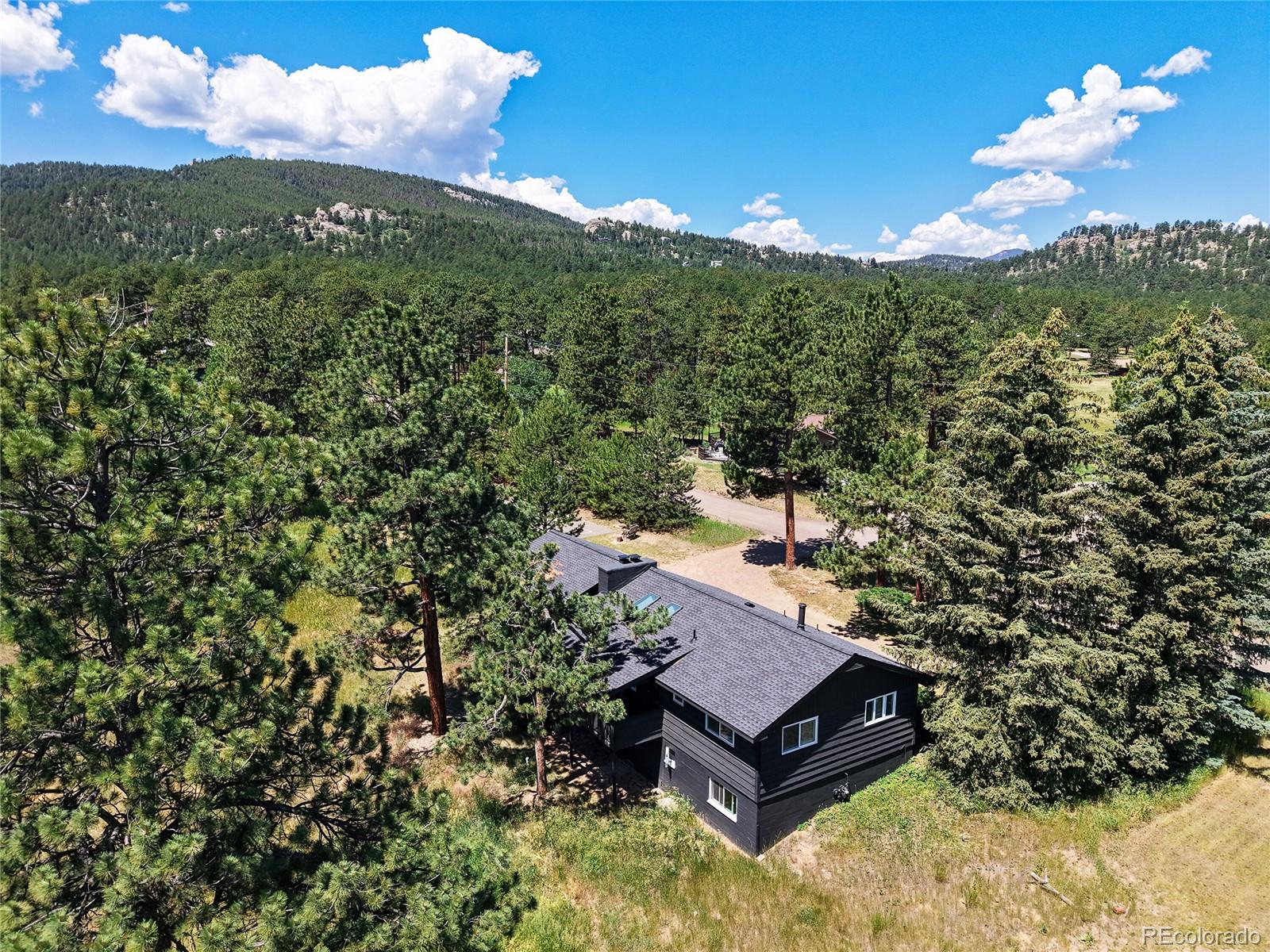 MLS Image #30 for 29858  gigi drive,evergreen, Colorado