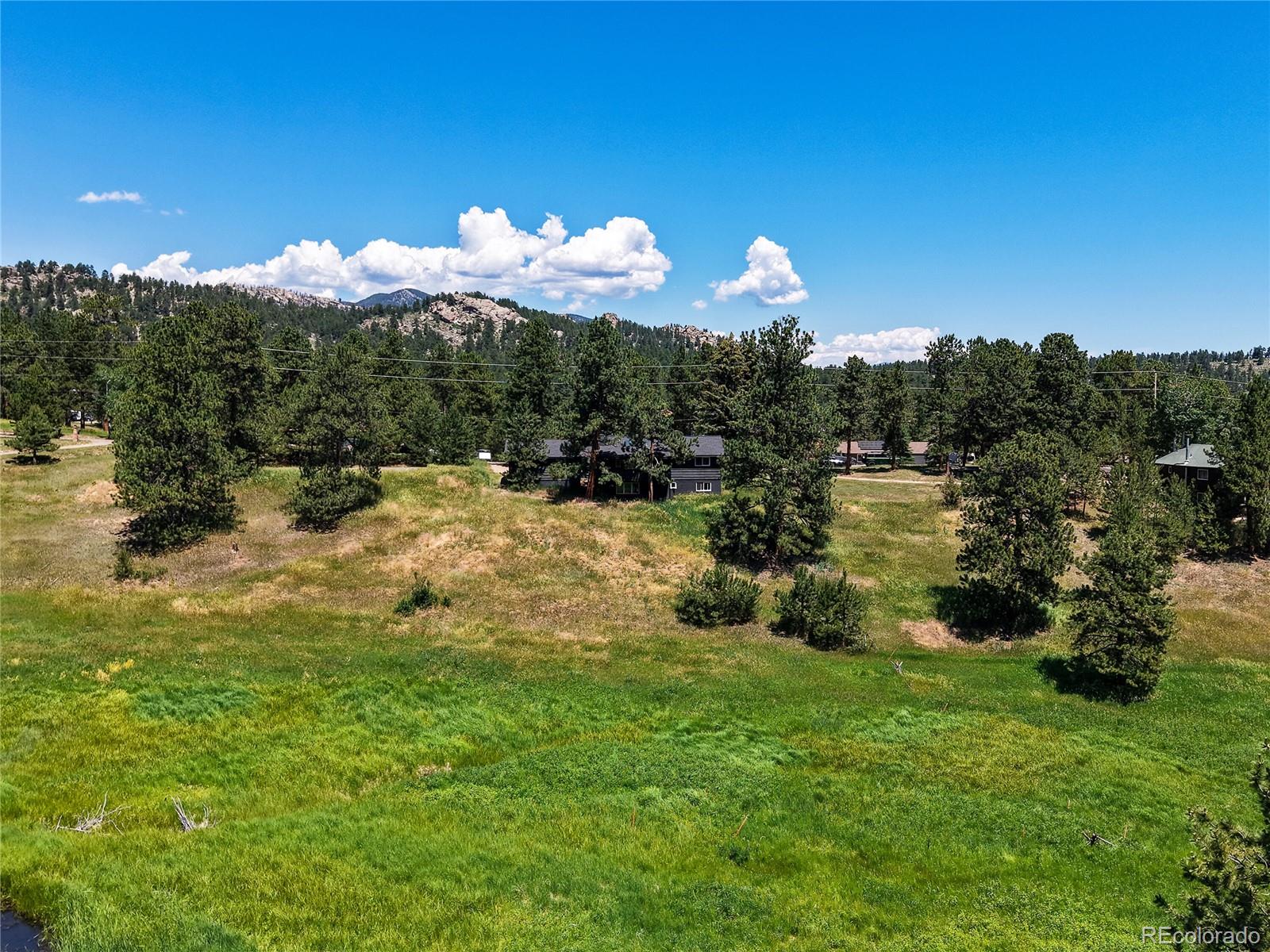 MLS Image #40 for 29858  gigi drive,evergreen, Colorado
