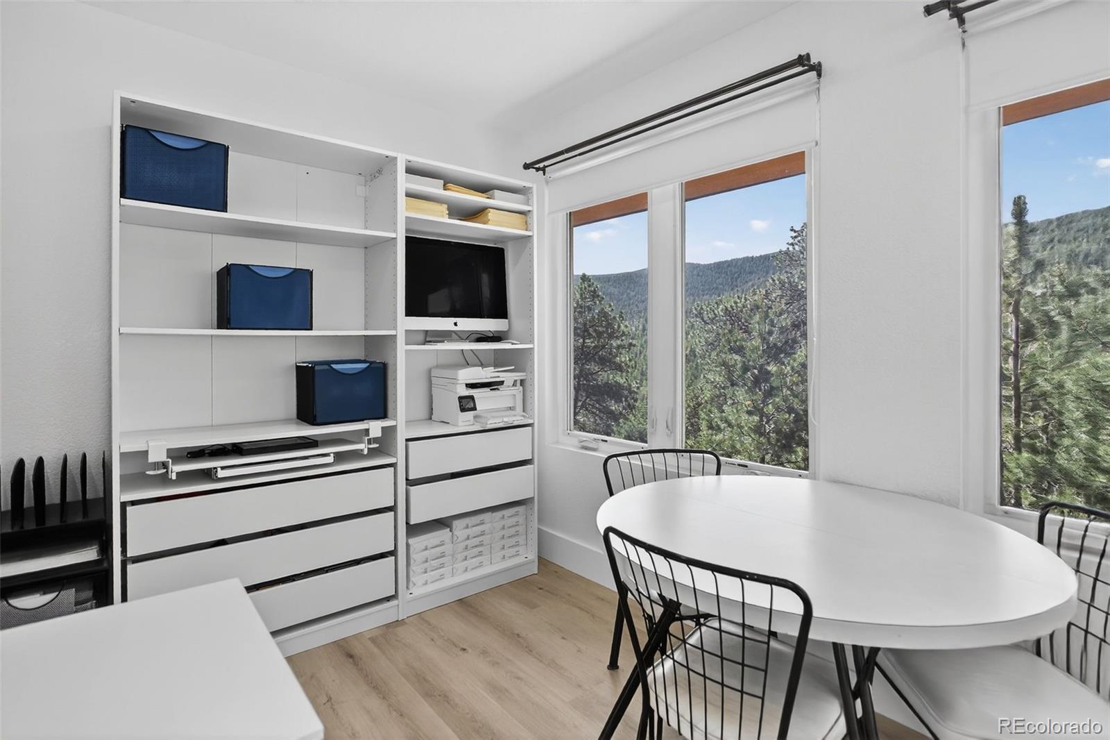 MLS Image #29 for 1688  pine valley road,evergreen, Colorado