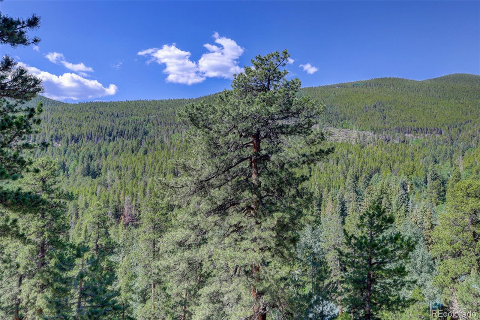 MLS Image #33 for 1688  pine valley road,evergreen, Colorado