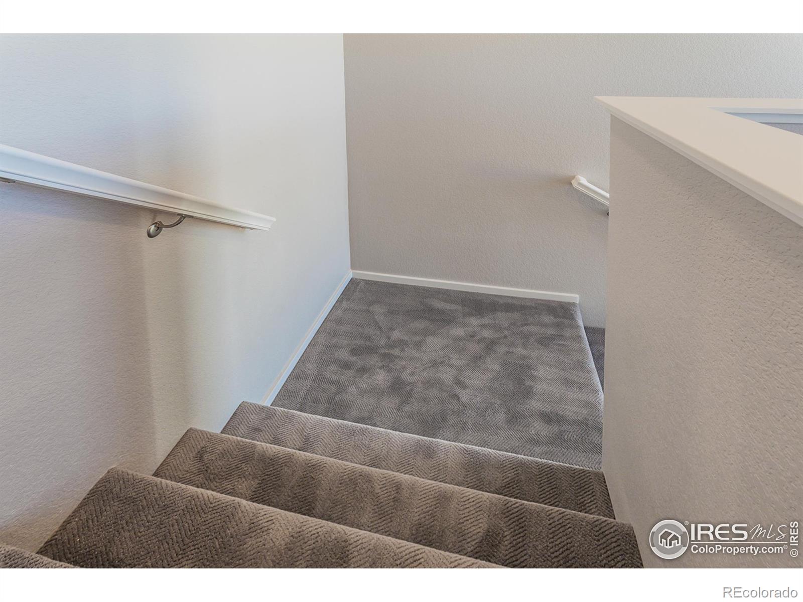 MLS Image #18 for 6105  saddle horn drive,timnath, Colorado