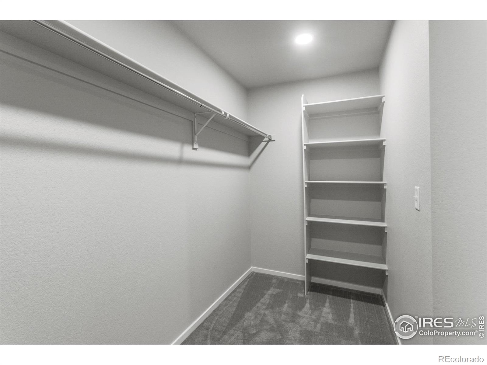 MLS Image #23 for 6105  saddle horn drive,timnath, Colorado