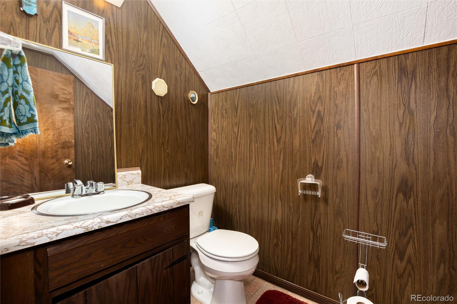 MLS Image #21 for 178  elk road,idaho springs, Colorado