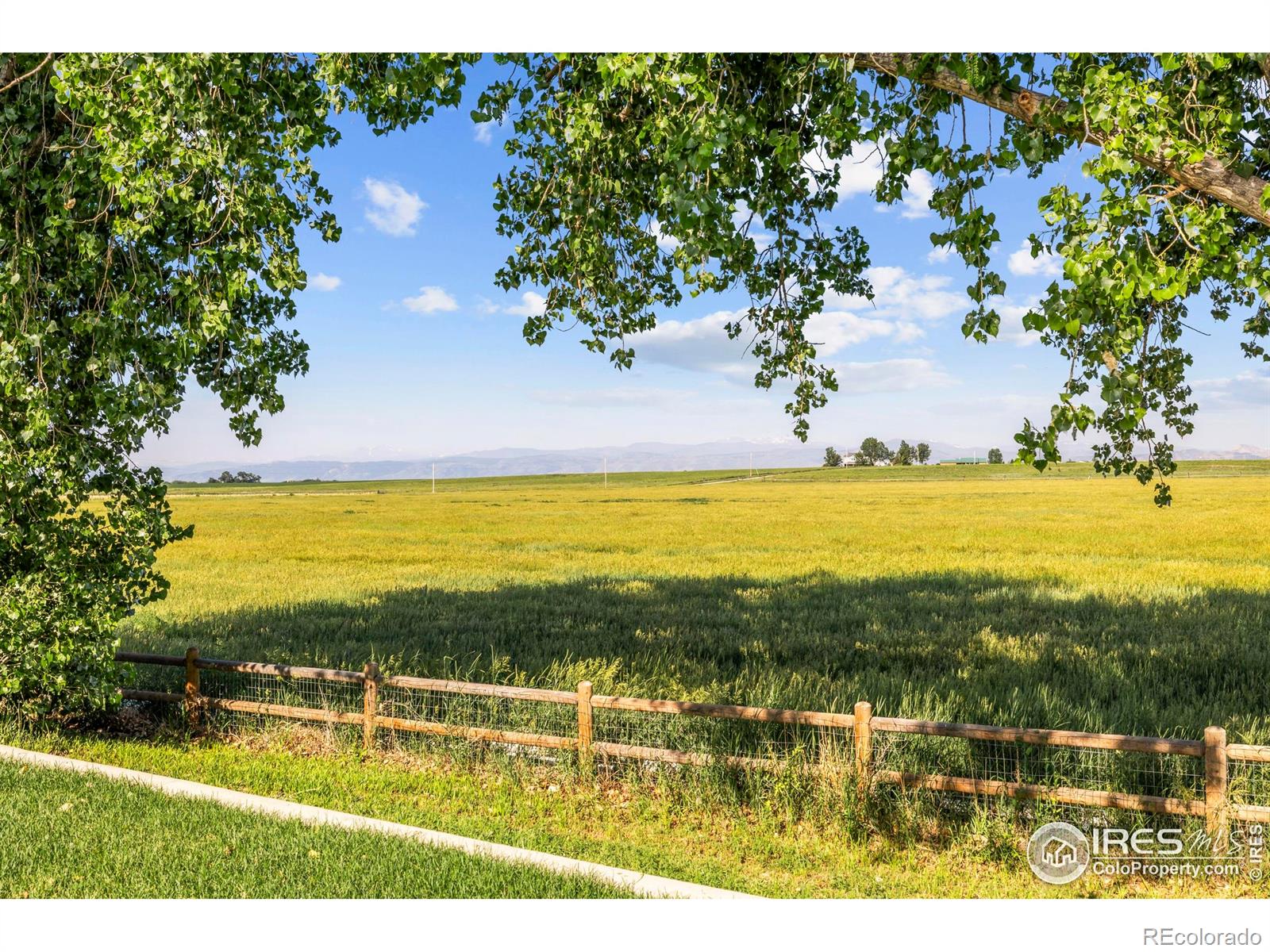 MLS Image #38 for 11021 n county road 3 ,wellington, Colorado