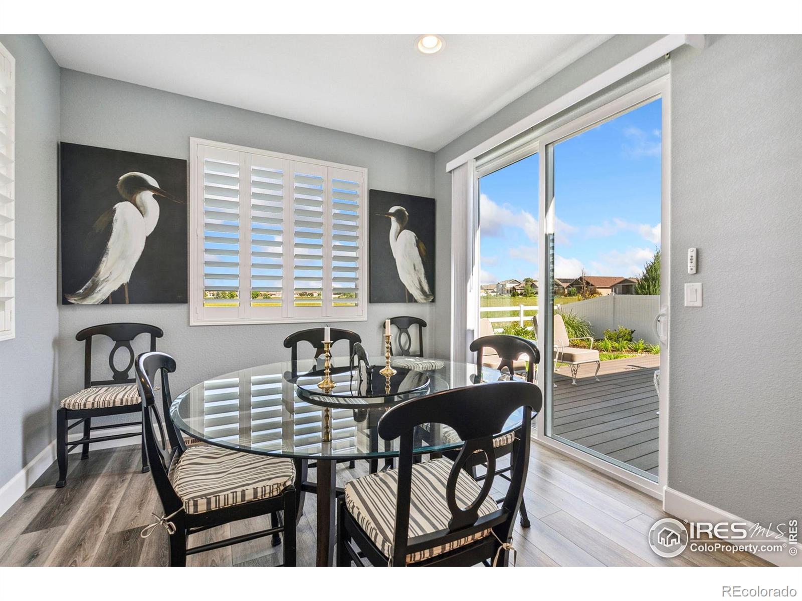 MLS Image #8 for 674  sundance drive,windsor, Colorado