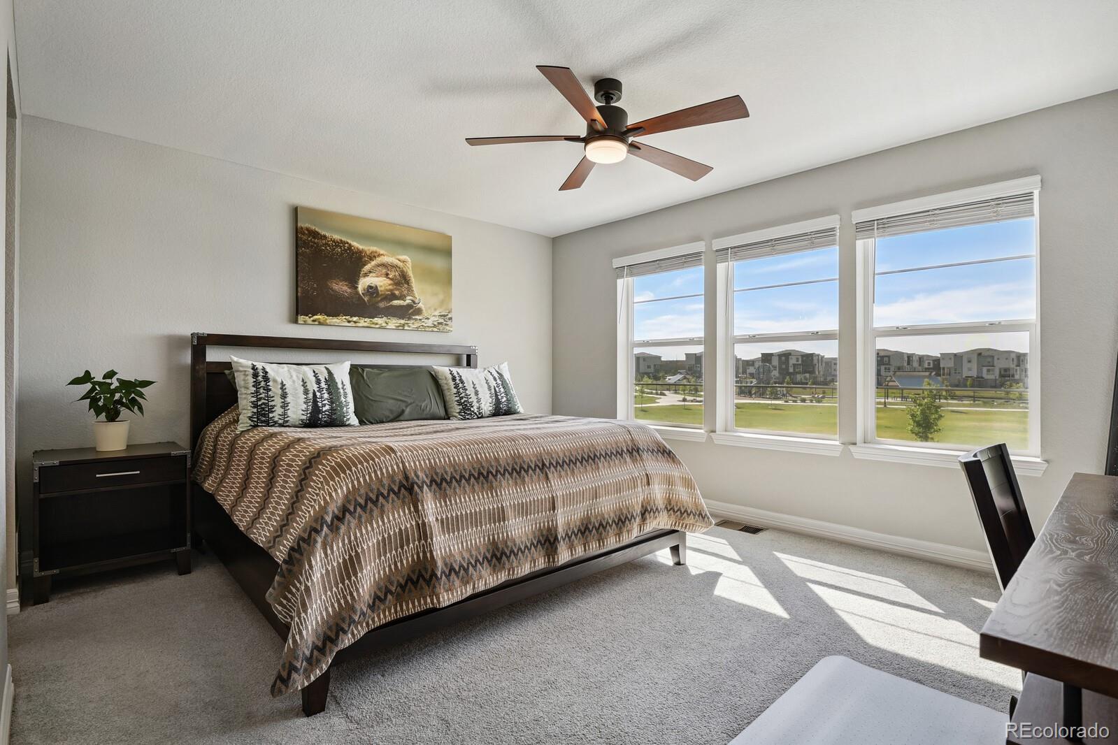 MLS Image #9 for 1751  rose quartz heights,colorado springs, Colorado