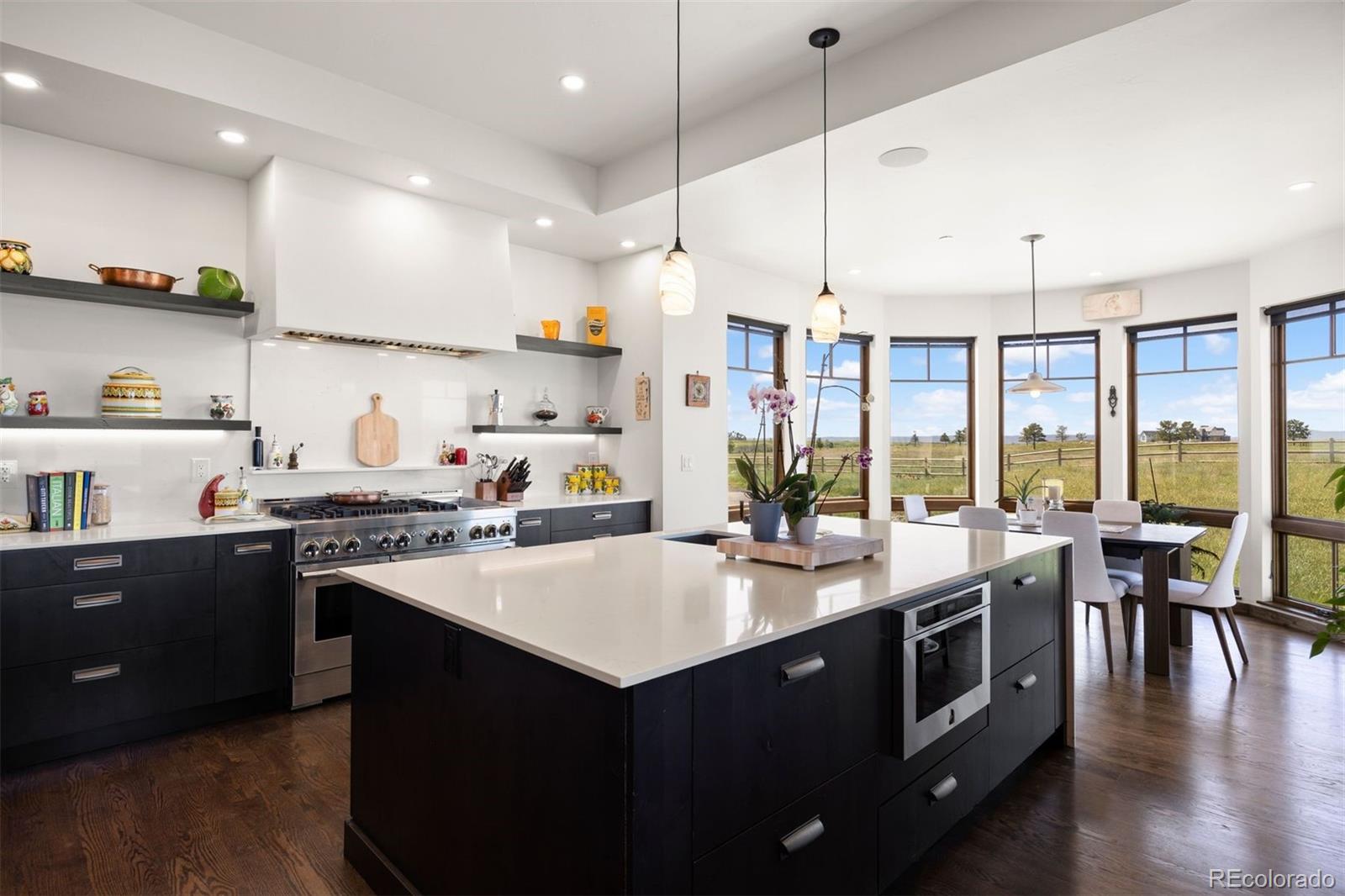 MLS Image #8 for 253  stone pointe trail,castle rock, Colorado
