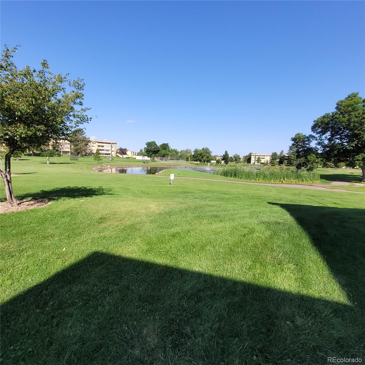 MLS Image #12 for 755 s clinton street,denver, Colorado