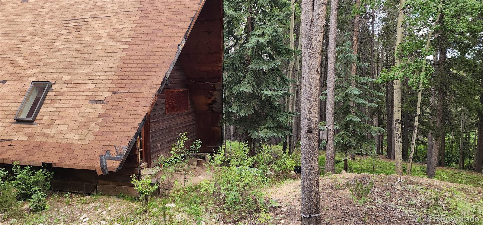 MLS Image #14 for 1  ute trail,evergreen, Colorado
