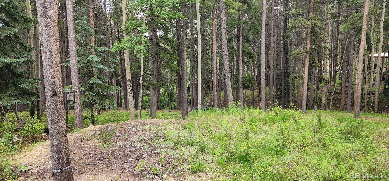 MLS Image #15 for 1  ute trail,evergreen, Colorado