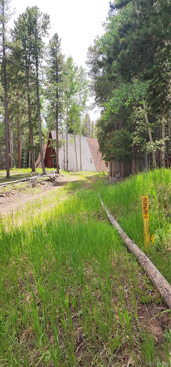 MLS Image #19 for 1  ute trail,evergreen, Colorado
