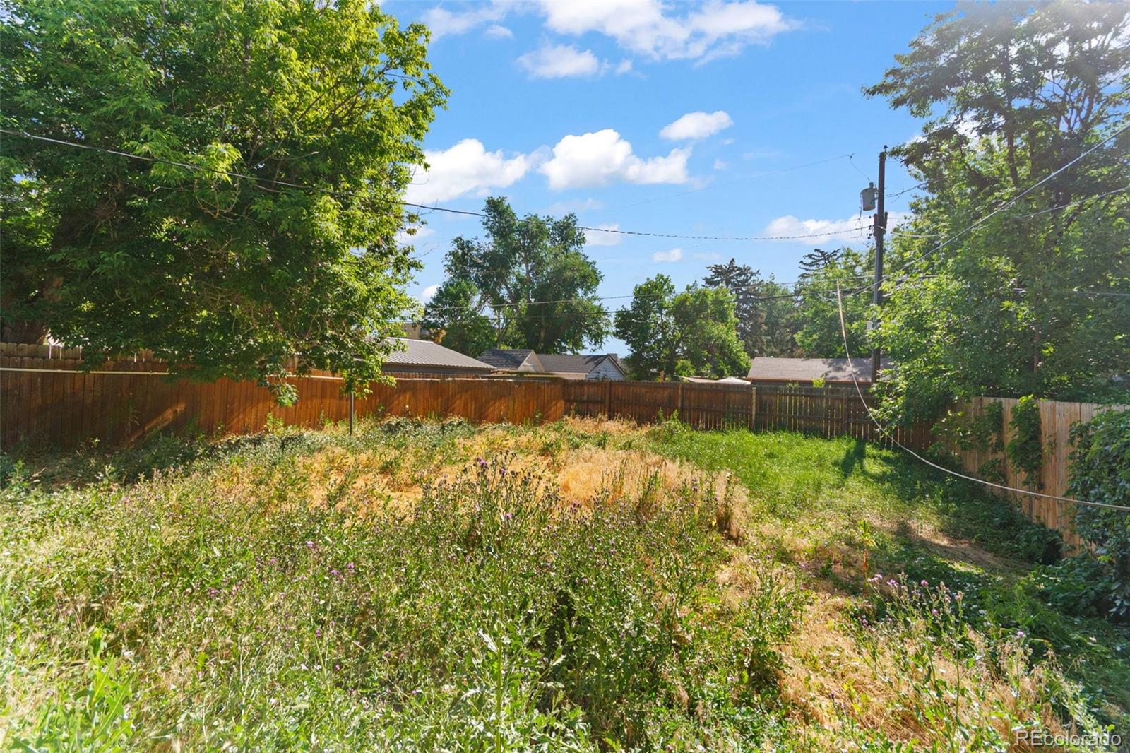 MLS Image #30 for 1240  willow street,denver, Colorado