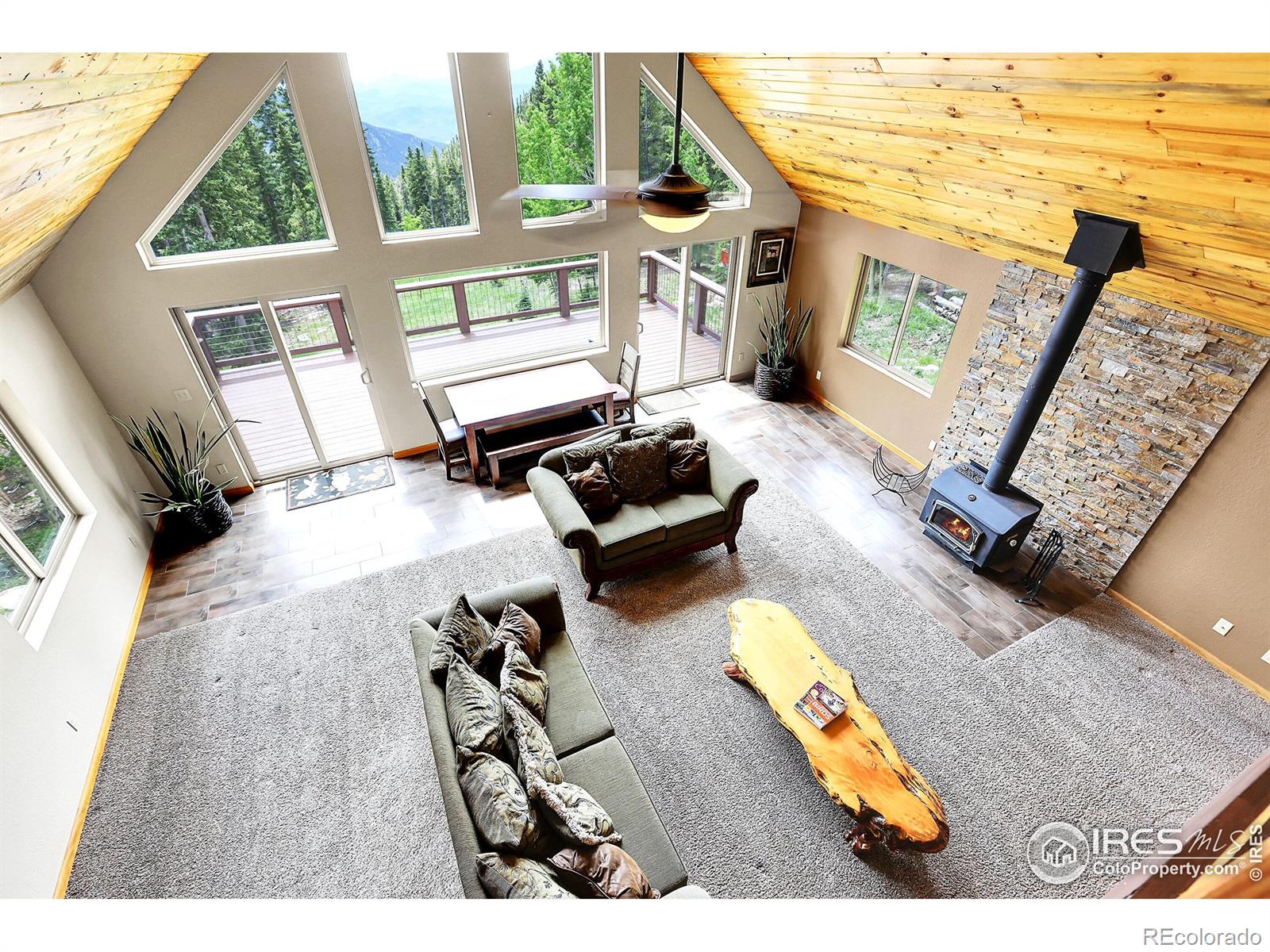 MLS Image #10 for 1176  raven ridge road,idaho springs, Colorado