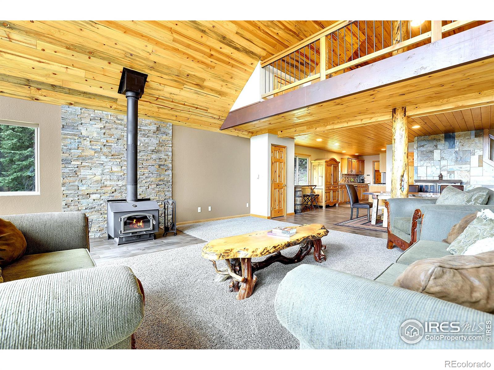 MLS Image #11 for 1176  raven ridge road,idaho springs, Colorado