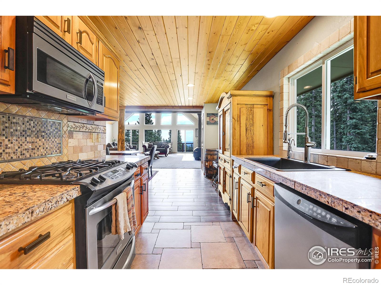 MLS Image #14 for 1176  raven ridge road,idaho springs, Colorado