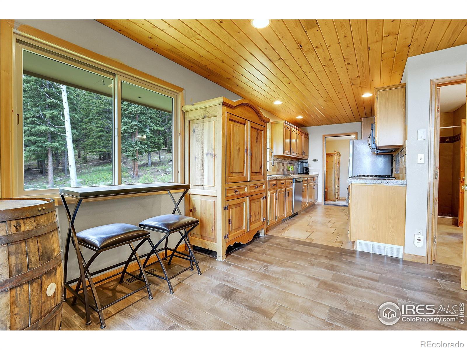 MLS Image #15 for 1176  raven ridge road,idaho springs, Colorado