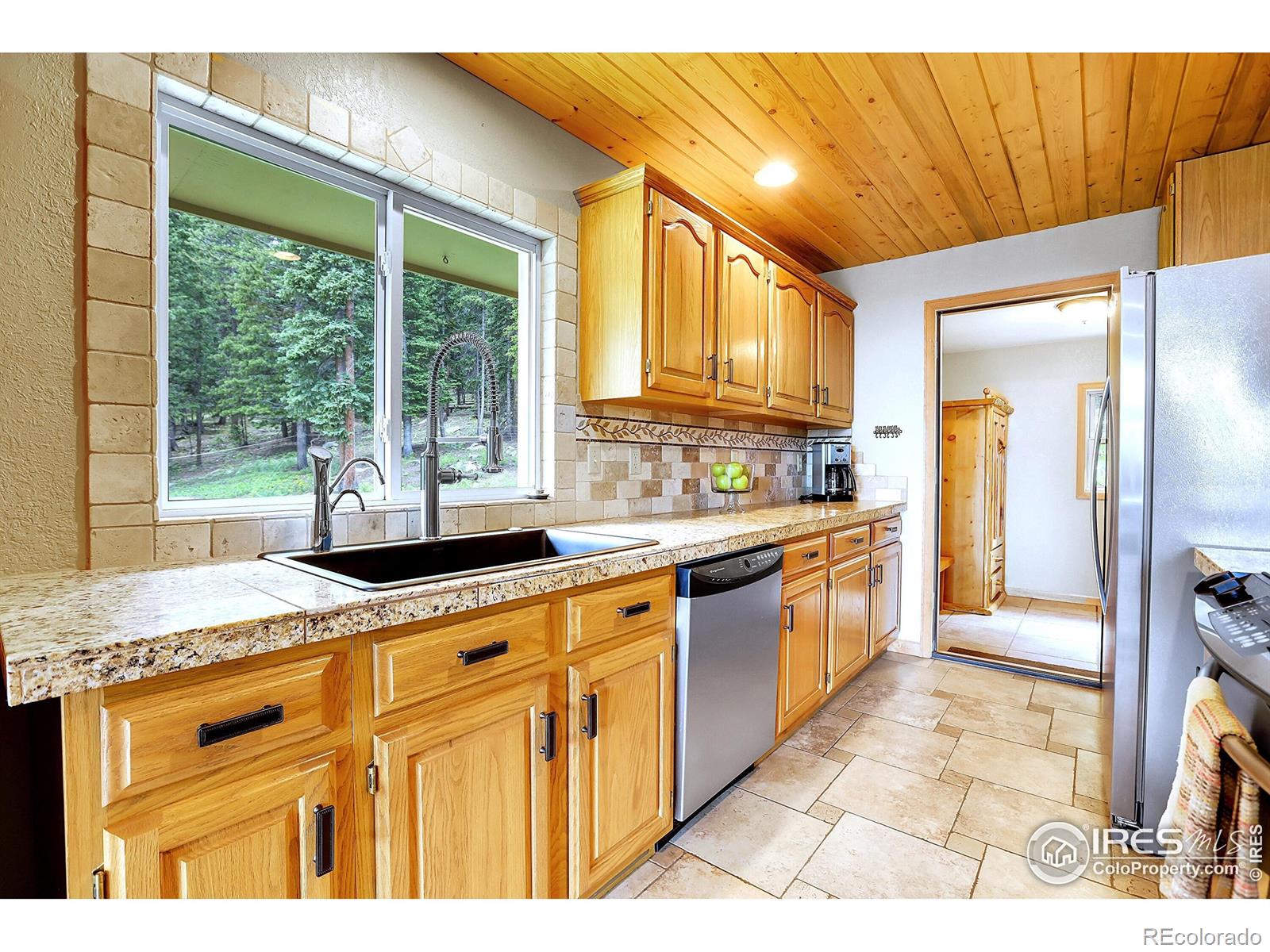 MLS Image #16 for 1176  raven ridge road,idaho springs, Colorado