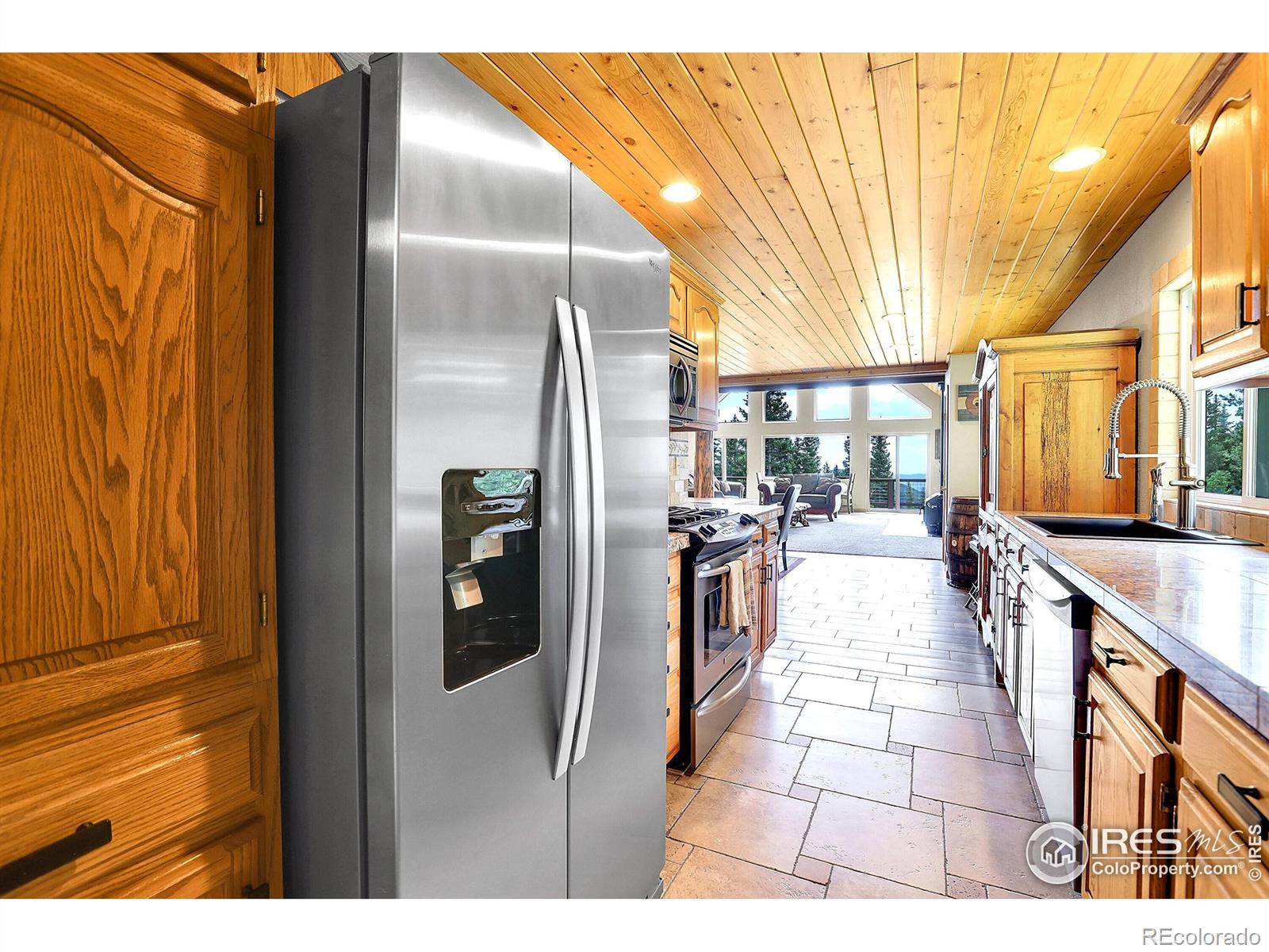 MLS Image #17 for 1176  raven ridge road,idaho springs, Colorado