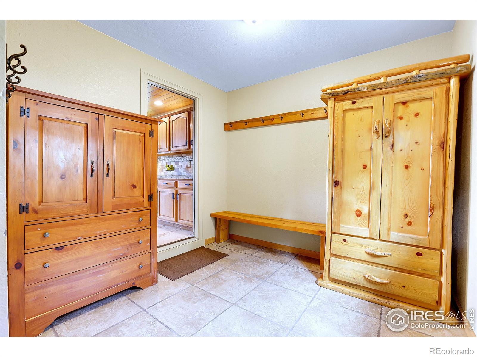 MLS Image #19 for 1176  raven ridge road,idaho springs, Colorado