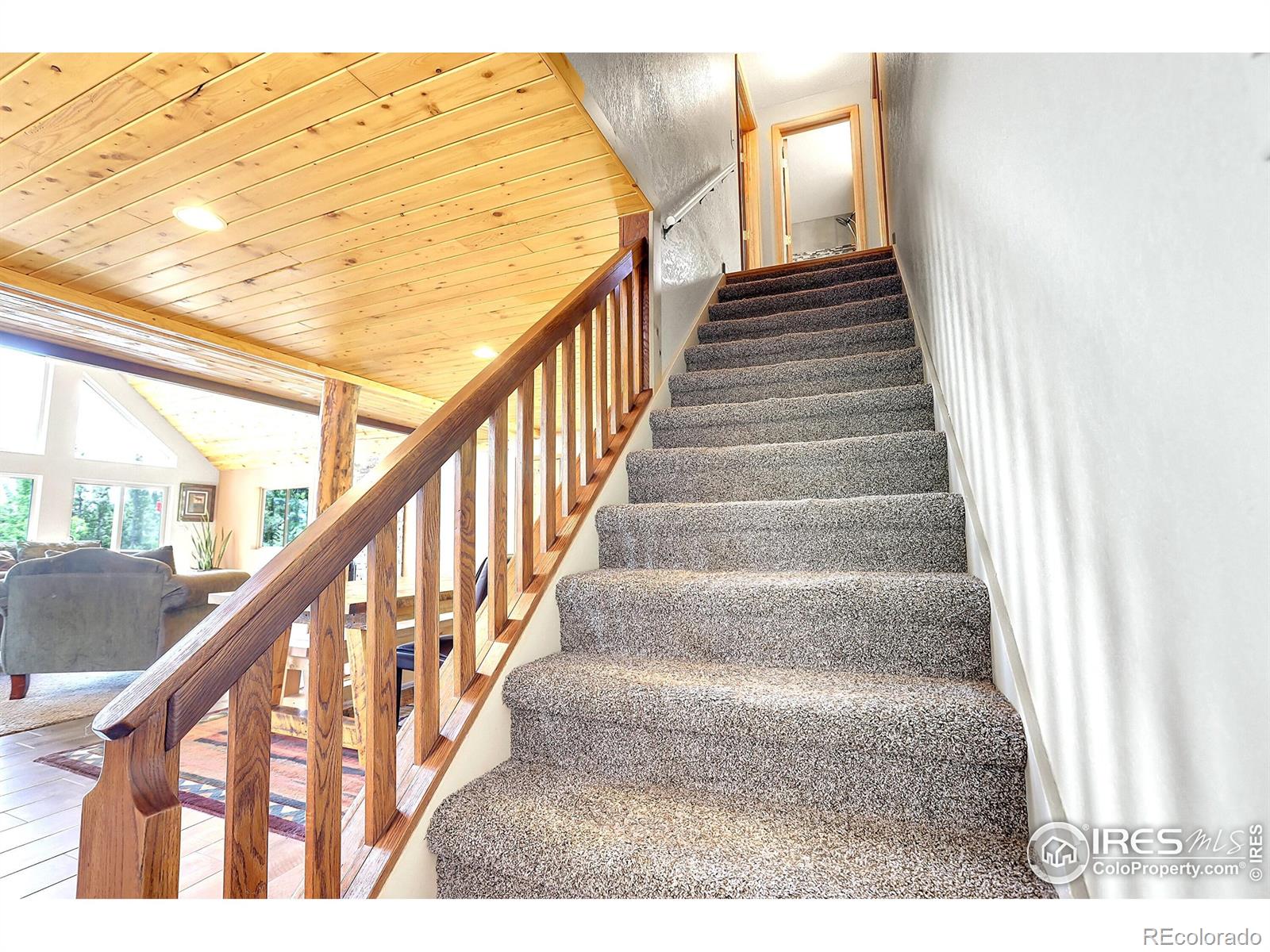 MLS Image #22 for 1176  raven ridge road,idaho springs, Colorado