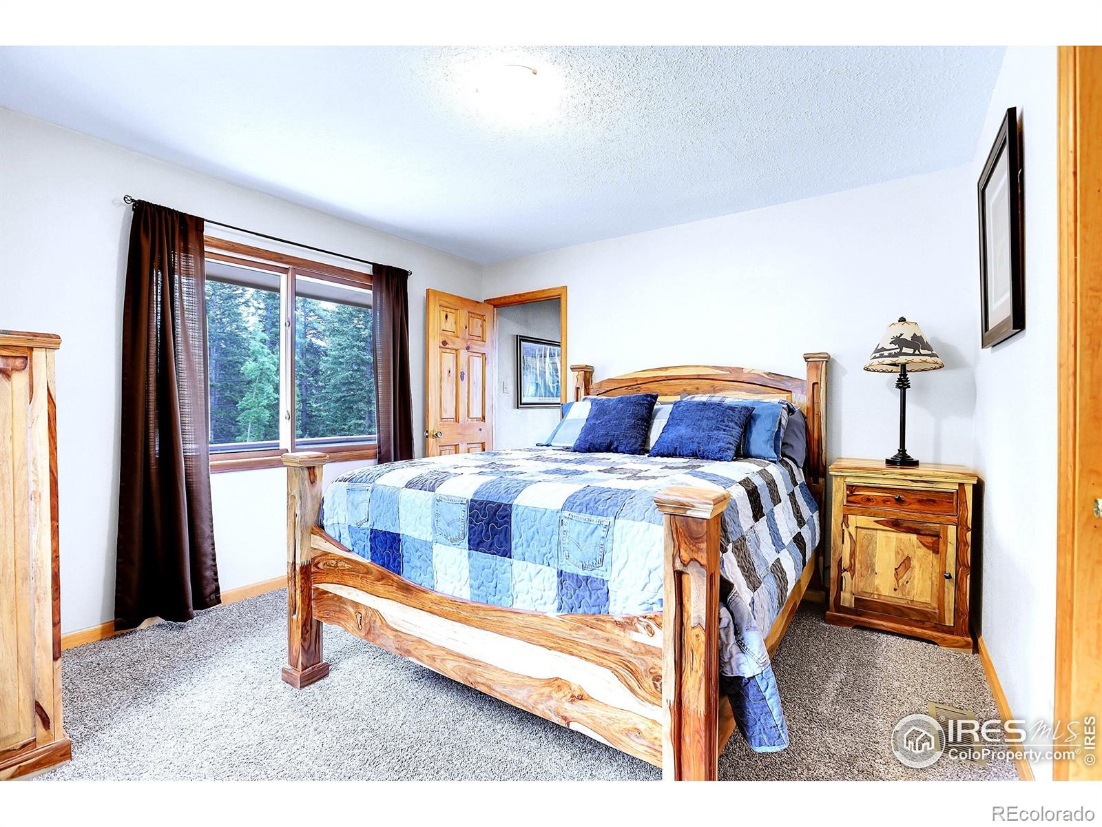MLS Image #23 for 1176  raven ridge road,idaho springs, Colorado