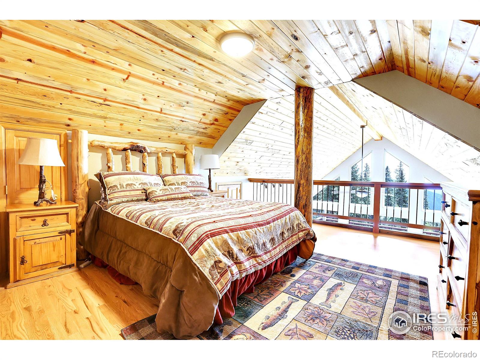 MLS Image #25 for 1176  raven ridge road,idaho springs, Colorado