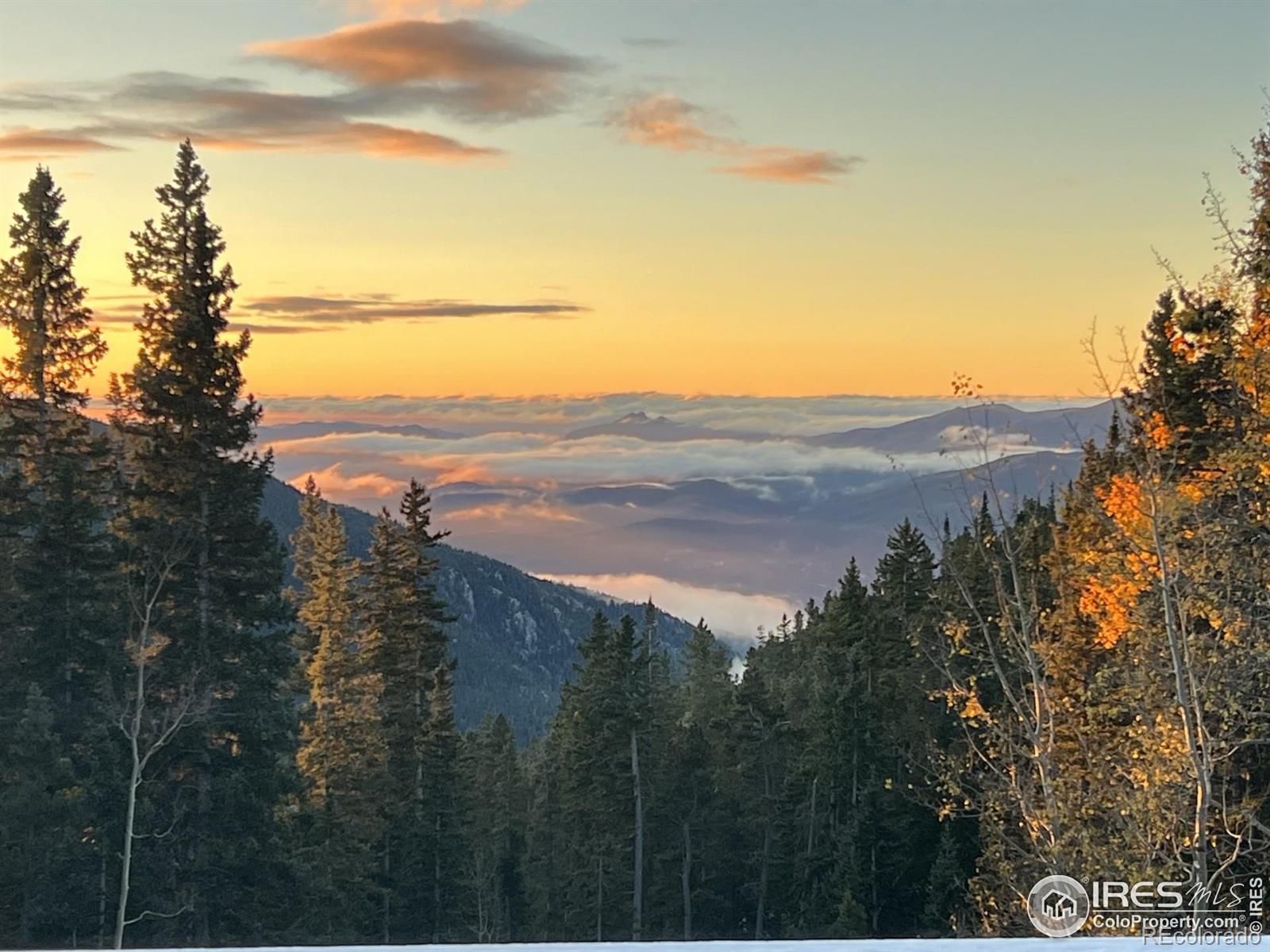 MLS Image #36 for 1176  raven ridge road,idaho springs, Colorado