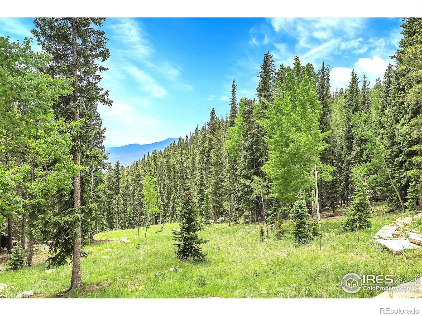 MLS Image #39 for 1176  raven ridge road,idaho springs, Colorado