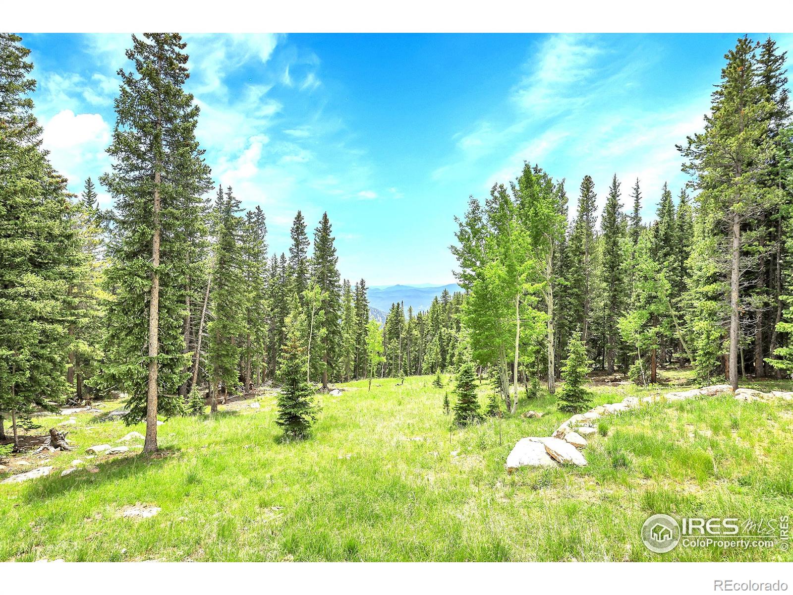 MLS Image #4 for 1176  raven ridge road,idaho springs, Colorado