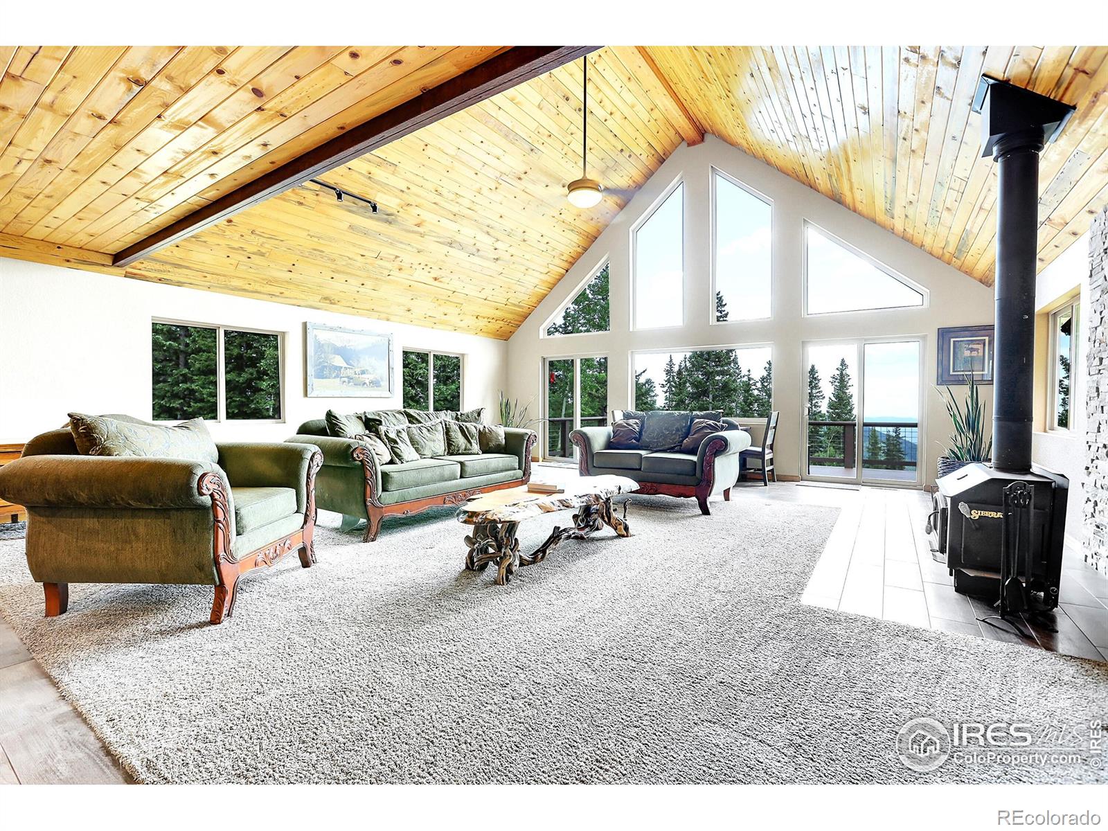MLS Image #9 for 1176  raven ridge road,idaho springs, Colorado
