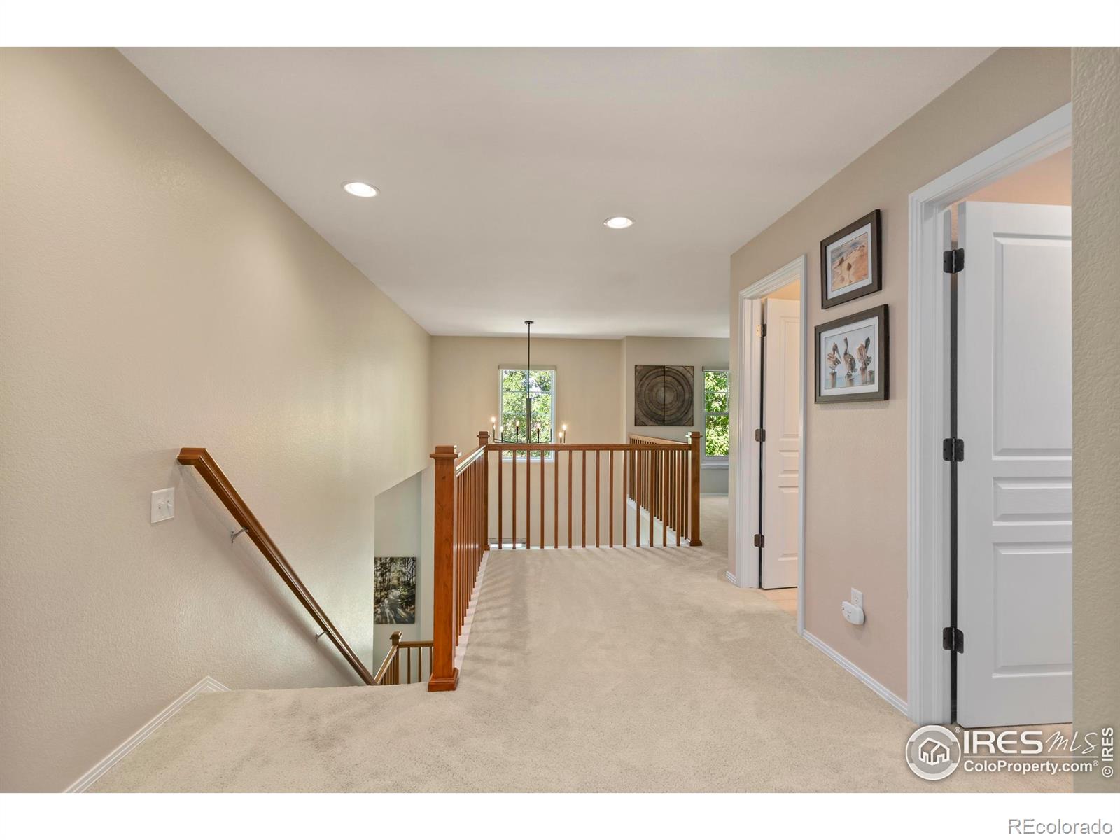MLS Image #20 for 5342  corbett drive,fort collins, Colorado