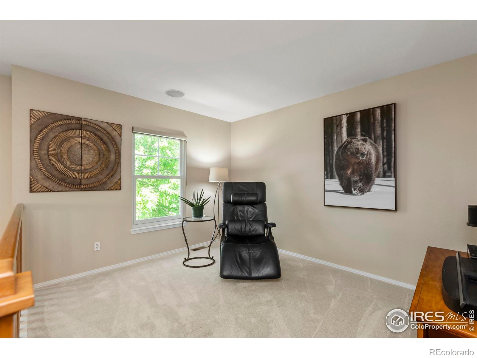 MLS Image #22 for 5342  corbett drive,fort collins, Colorado