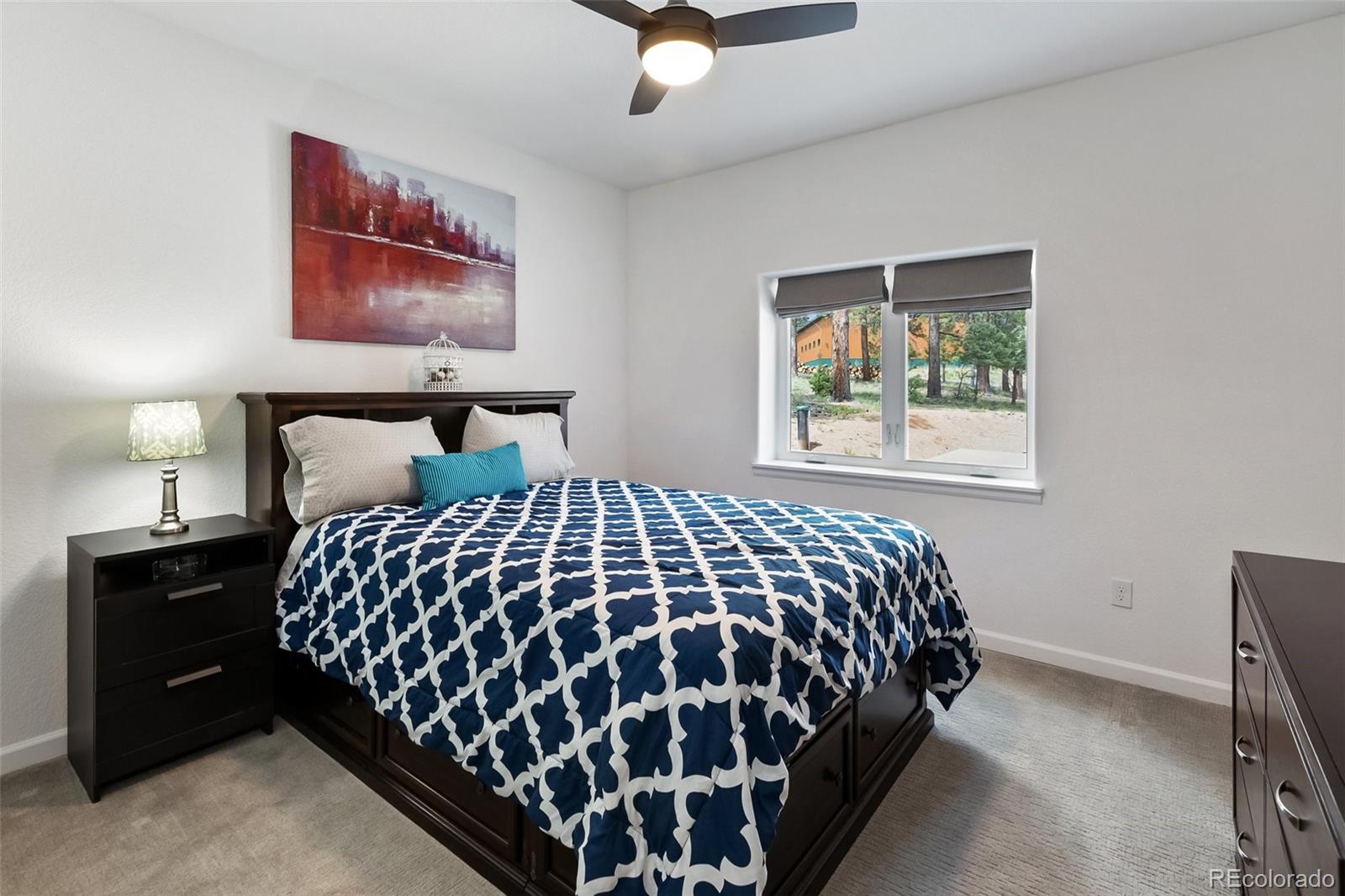 MLS Image #12 for 126  rainier drive,florissant, Colorado