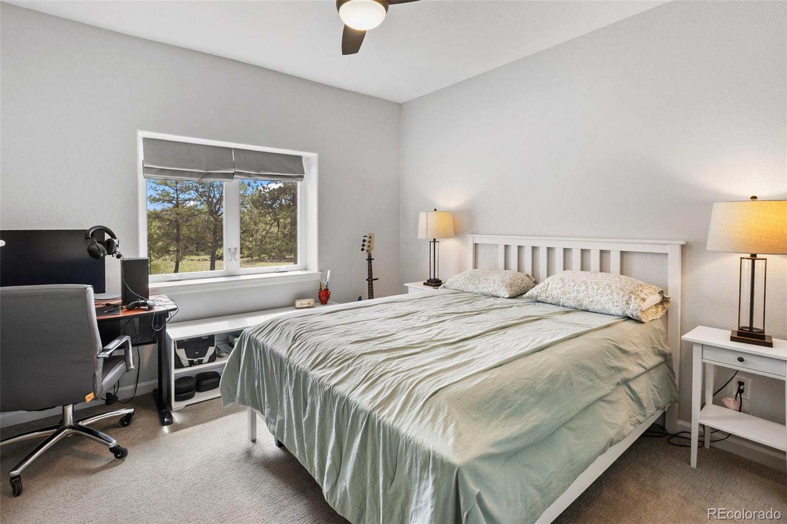 MLS Image #16 for 126  rainier drive,florissant, Colorado