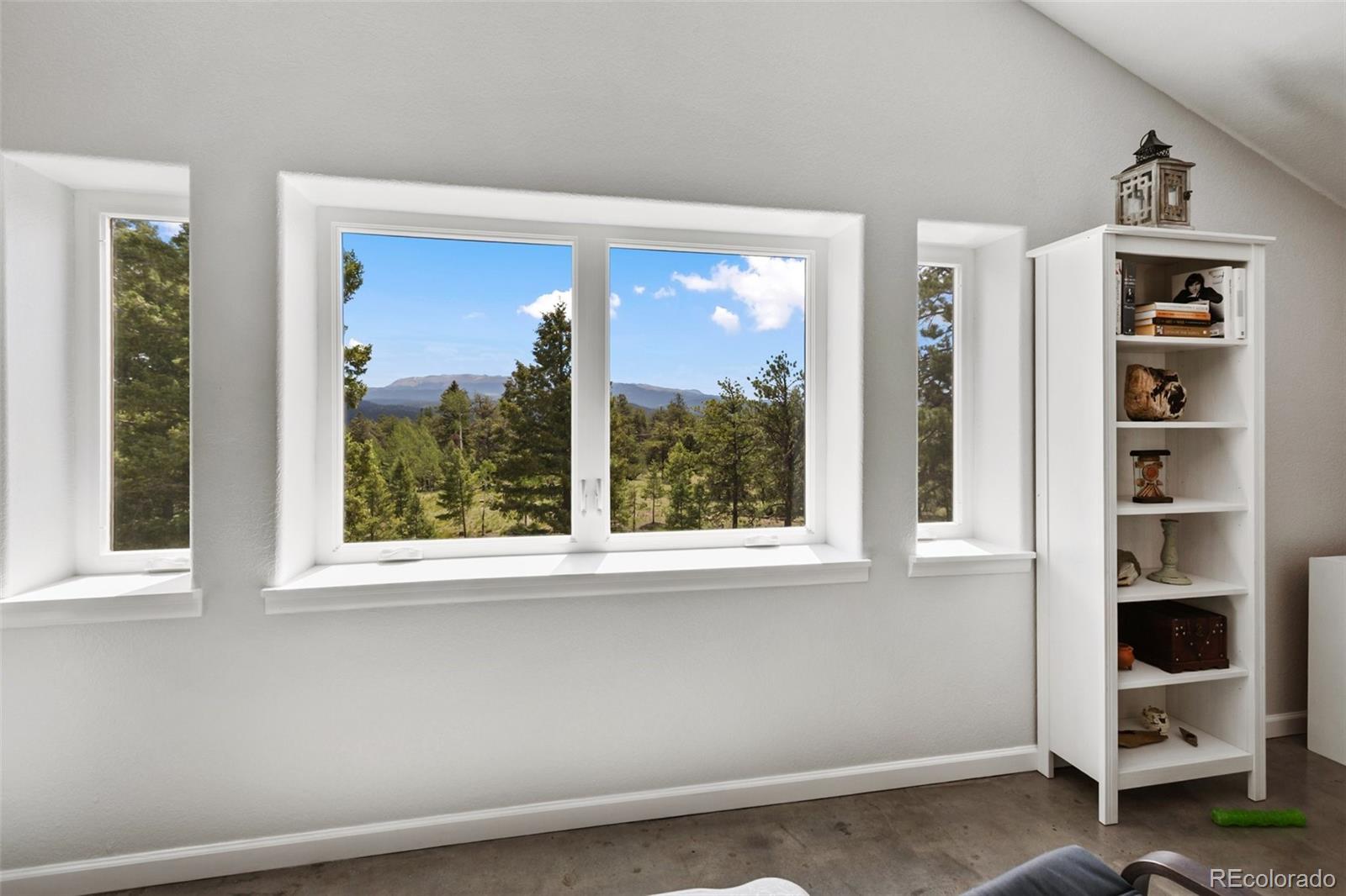 MLS Image #19 for 126  rainier drive,florissant, Colorado