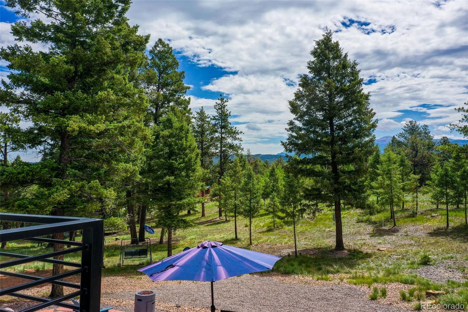 MLS Image #25 for 126  rainier drive,florissant, Colorado