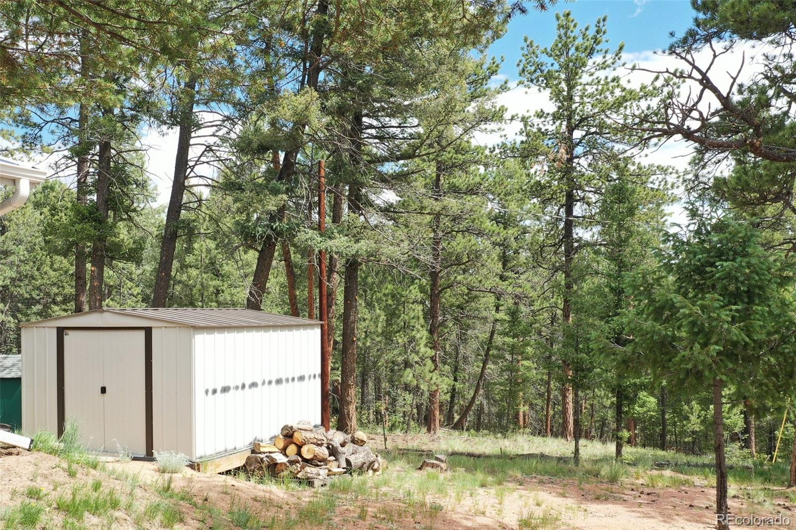 MLS Image #27 for 126  rainier drive,florissant, Colorado