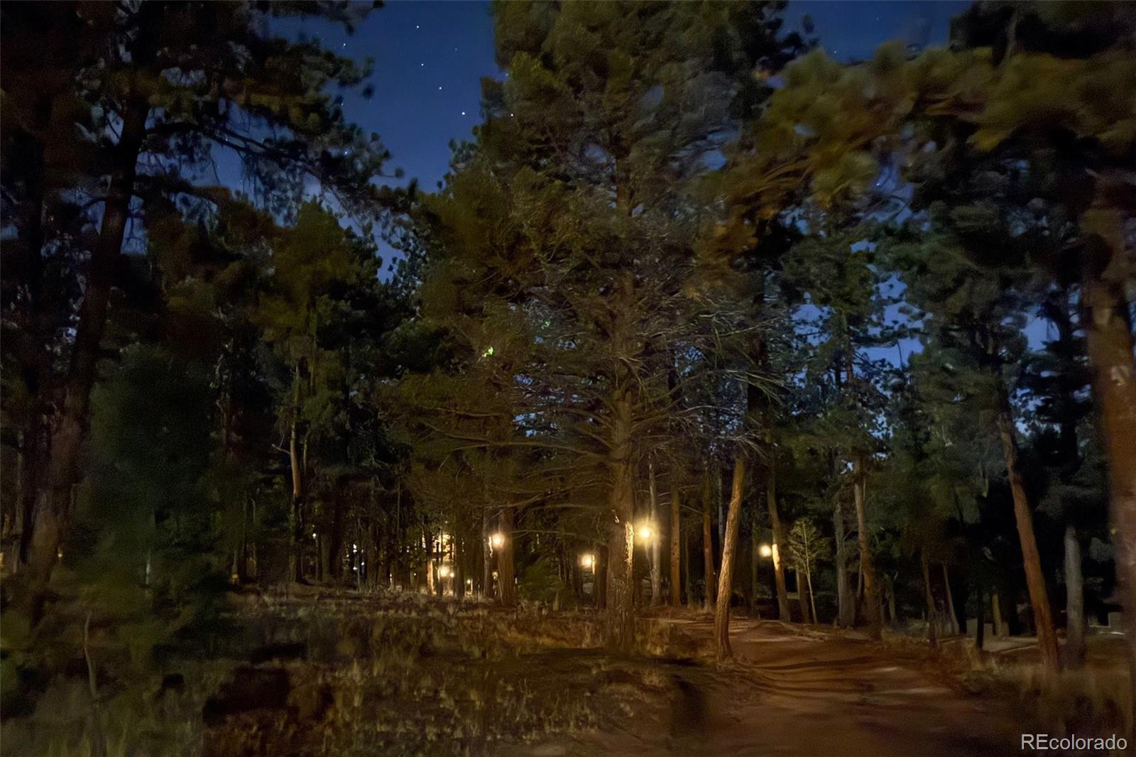 MLS Image #33 for 126  rainier drive,florissant, Colorado