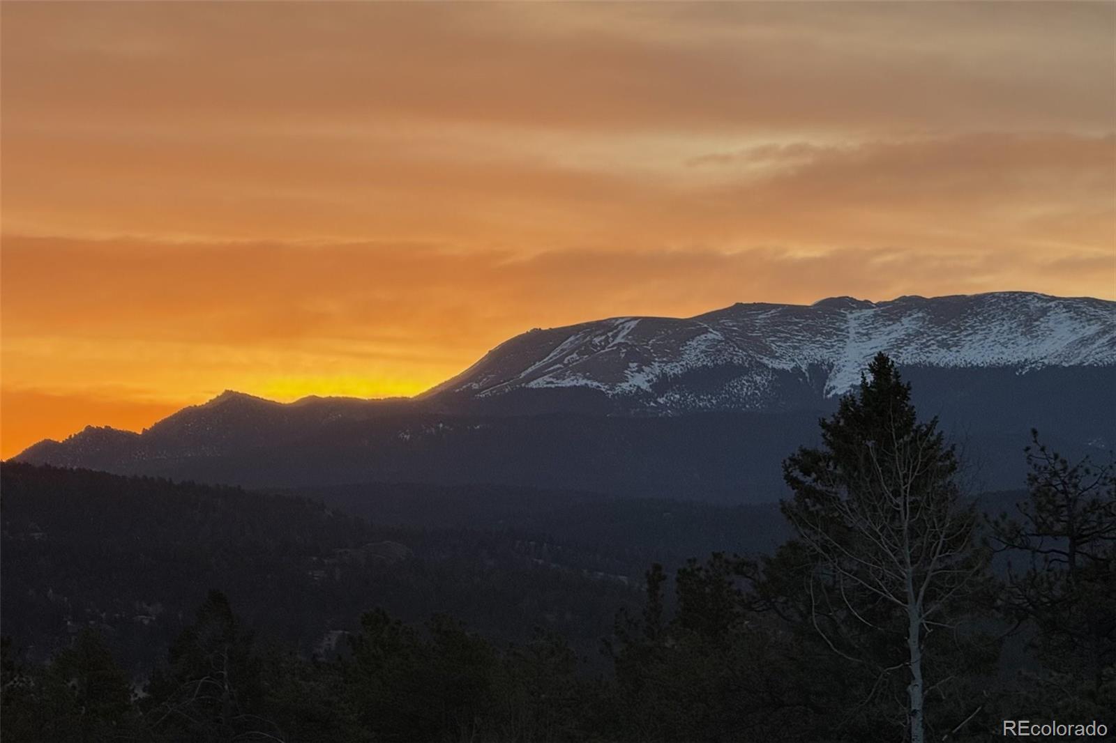 MLS Image #35 for 126  rainier drive,florissant, Colorado