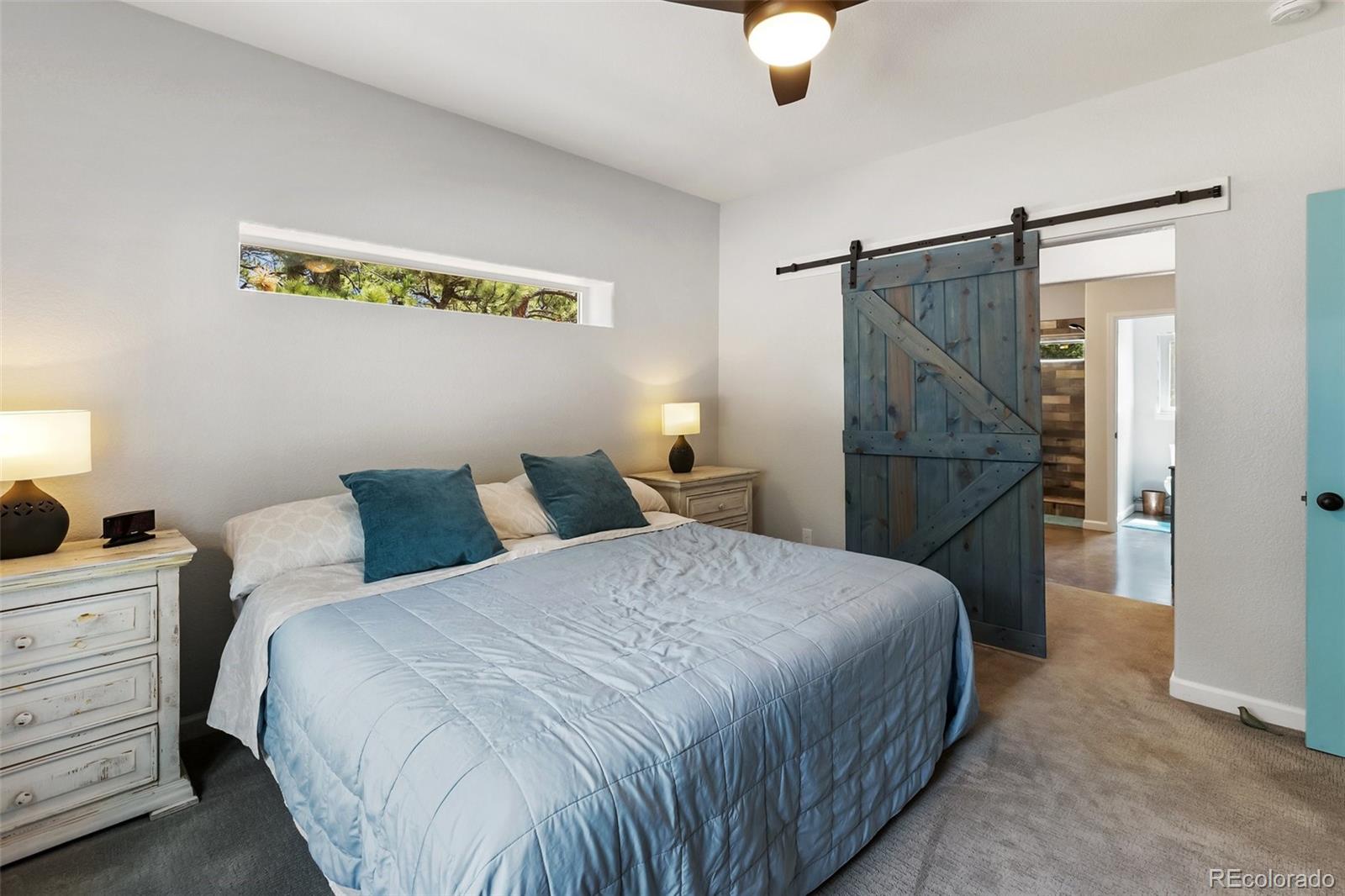 MLS Image #8 for 126  rainier drive,florissant, Colorado