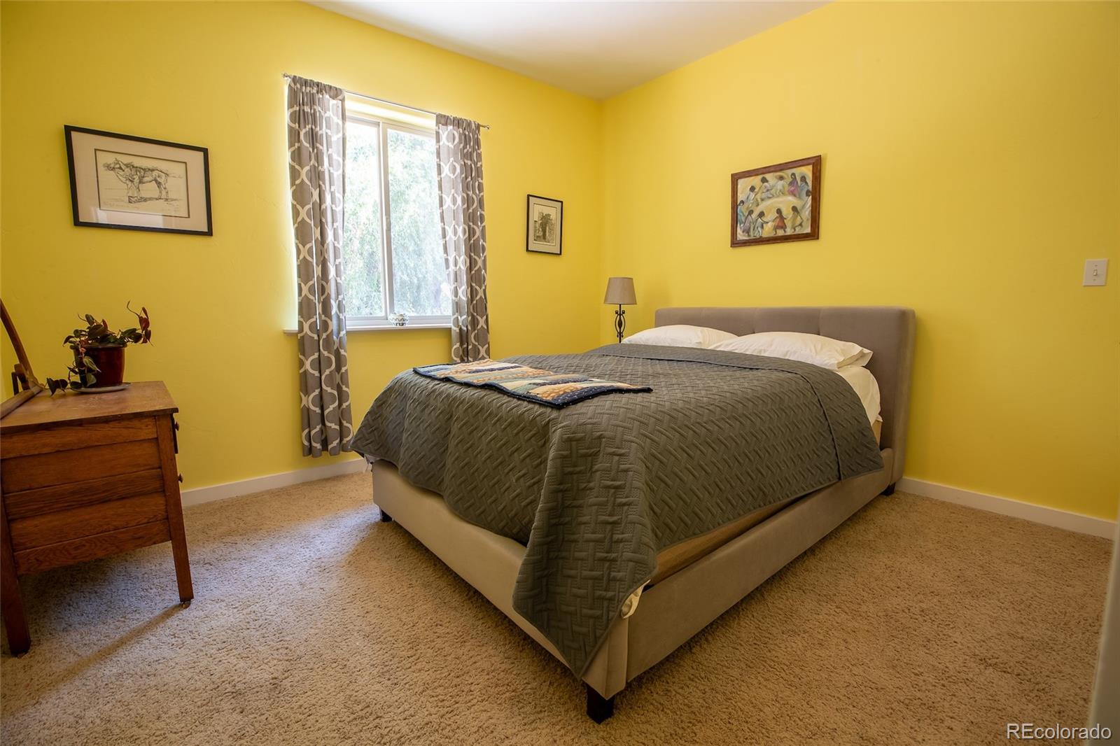 MLS Image #21 for 124  meadow lane,buena vista, Colorado