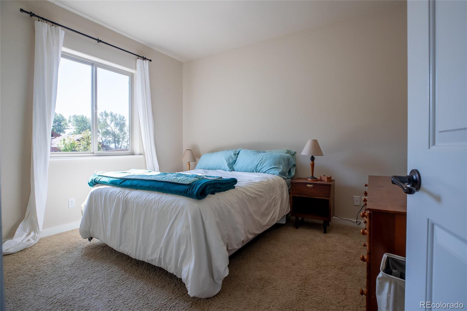MLS Image #23 for 124  meadow lane,buena vista, Colorado