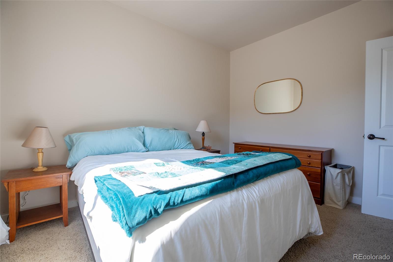 MLS Image #24 for 124  meadow lane,buena vista, Colorado