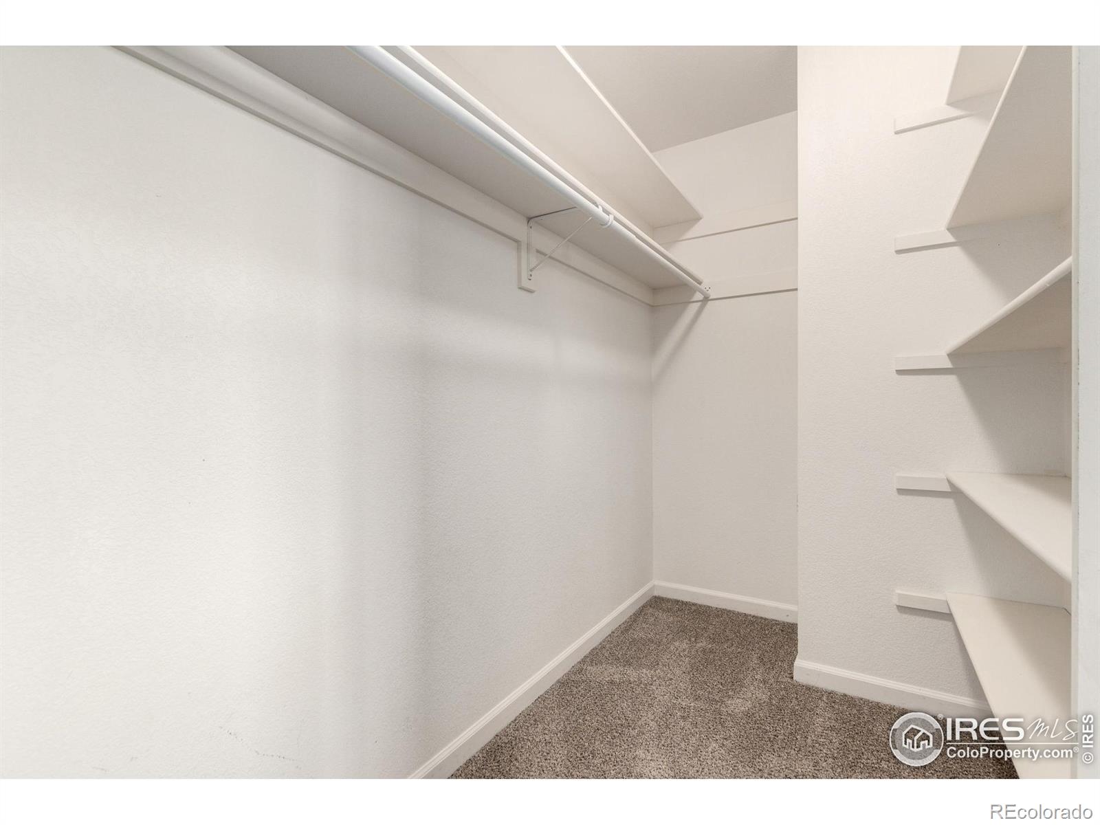 MLS Image #15 for 2120  timber creek drive,fort collins, Colorado
