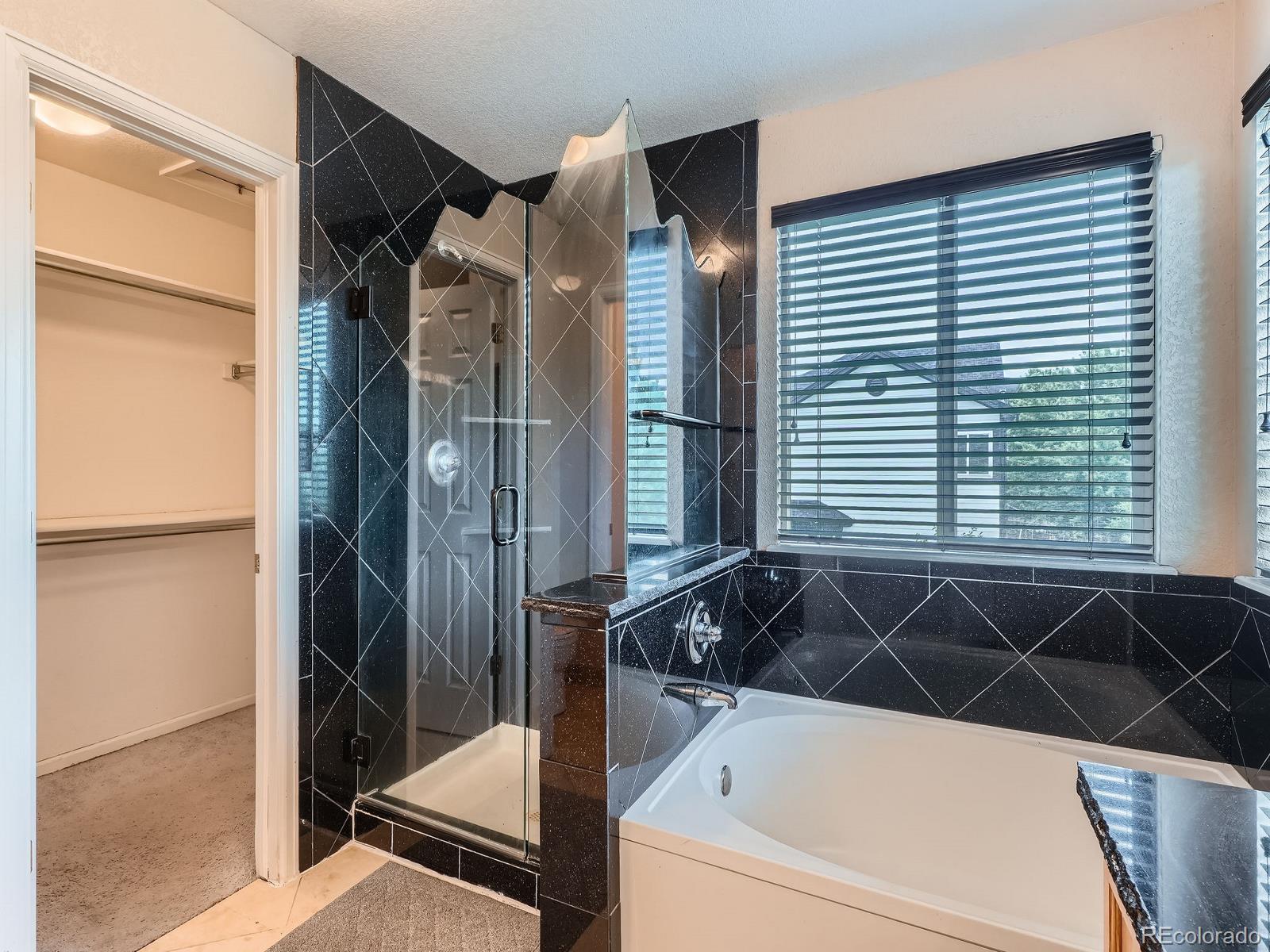 MLS Image #15 for 5553  jasper street,denver, Colorado