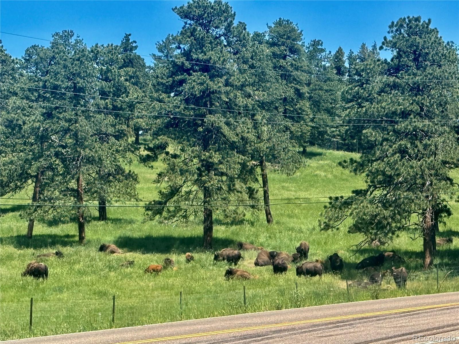 MLS Image #3 for 25924  gateway drive,golden, Colorado