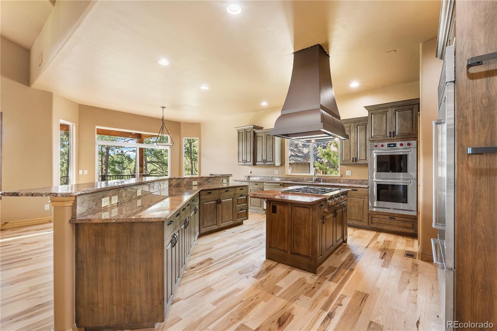 MLS Image #10 for 691  cumberland road,larkspur, Colorado