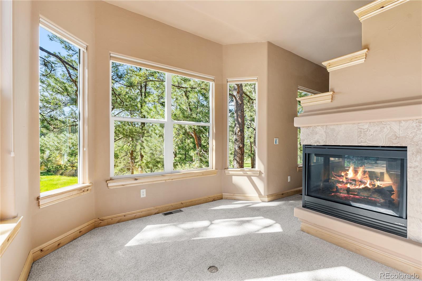 MLS Image #30 for 691  cumberland road,larkspur, Colorado